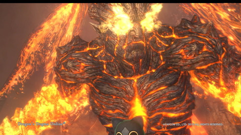 Dragon's Dogma Online__106