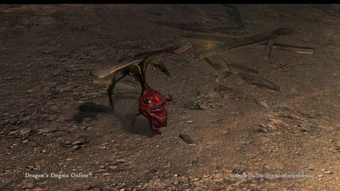 Dragon's Dogma Online__213