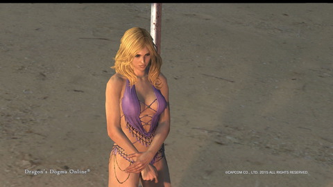 Dragon's Dogma Online__149