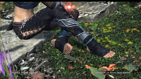 Dragon's Dogma Online__903