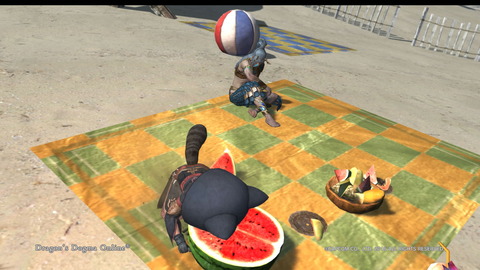 Dragon's Dogma Online__178