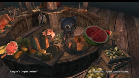 Dragon's Dogma Online__153