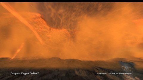 Dragon's Dogma Online__107