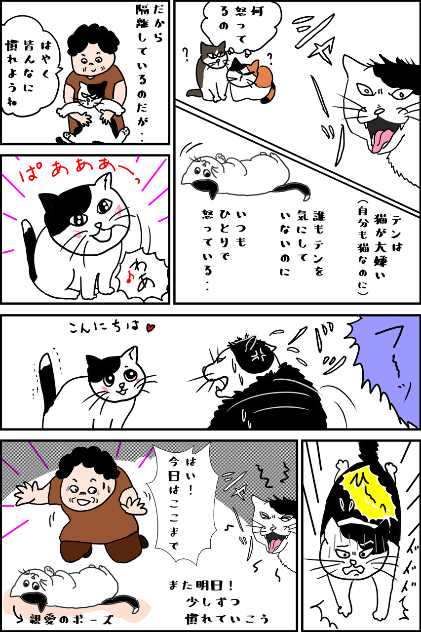 少しずつ慣れていこう 生きがい 少しずつ慣れていこう 生きがい