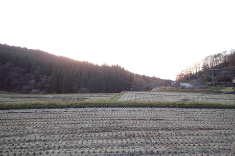 駐車場から