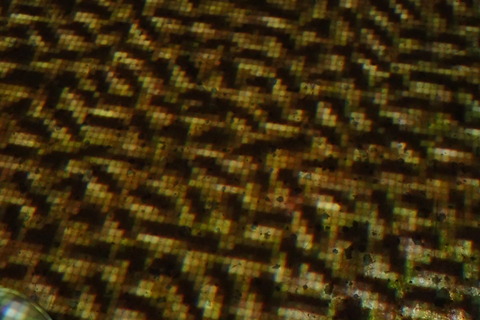P9134894