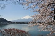 2009 04 11 028