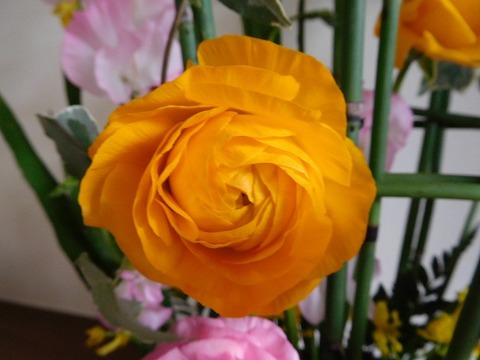 DSCN3608