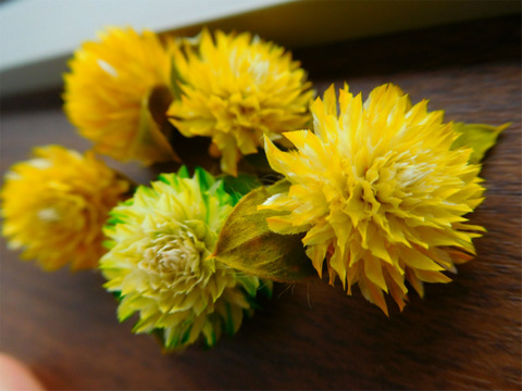 DSCN0090