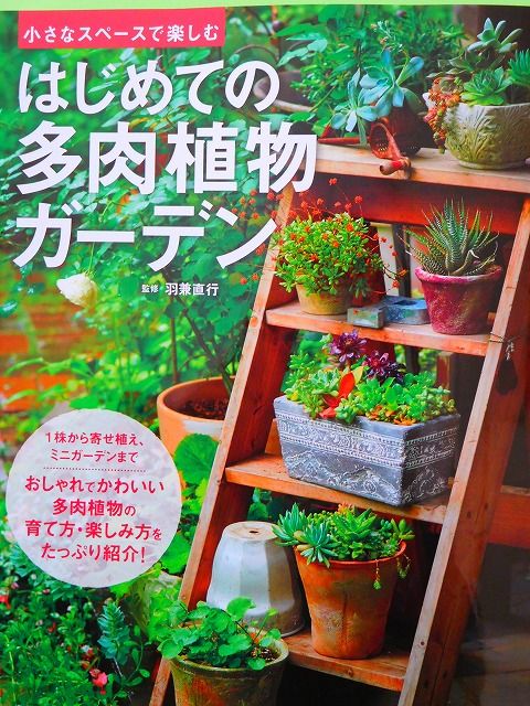 DSCN0205