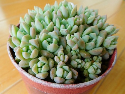 DSCN5669
