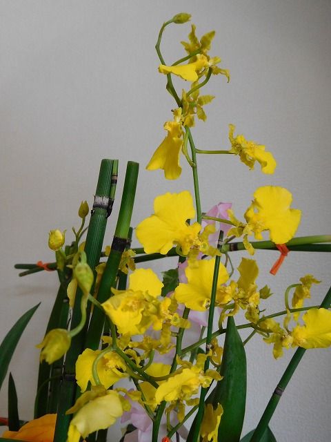 DSCN3616