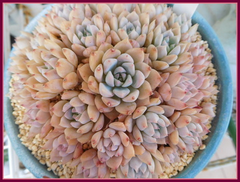 DSCN9992