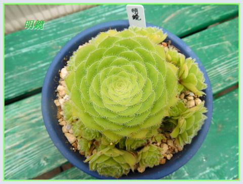 DSCN0366