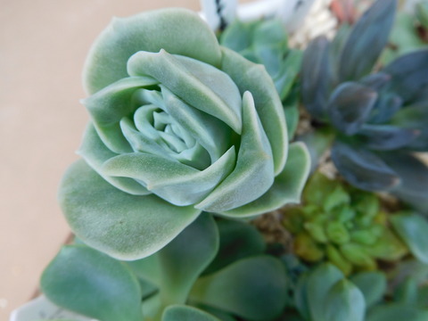 DSCN0171