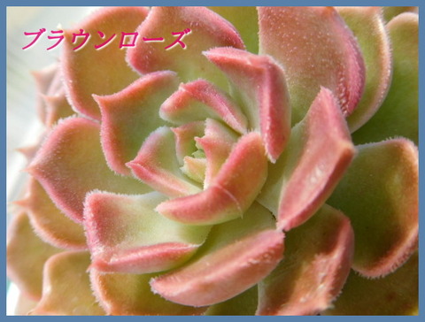 DSCN9716