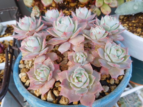 DSCN1479