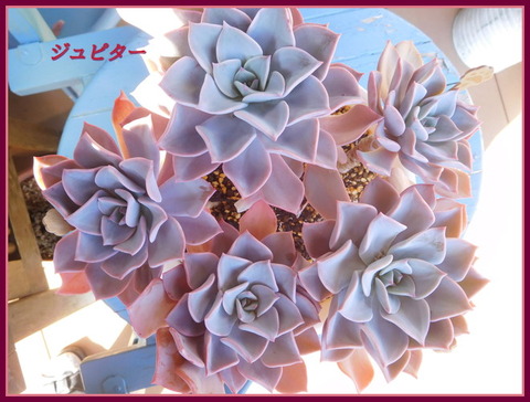 DSCN9936