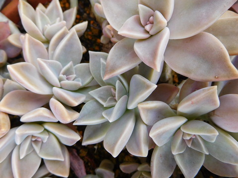 DSCN0380