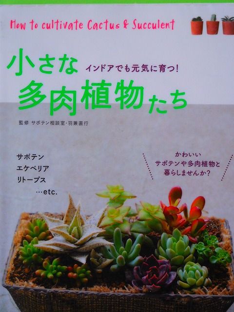 DSCN0202