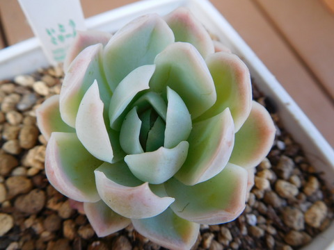 DSCN9203