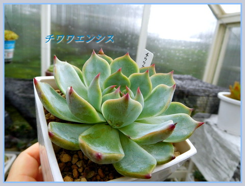 DSCN0167[1]