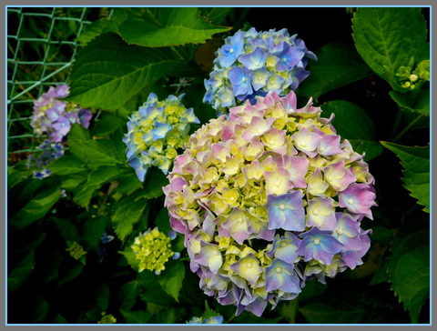 DSCN9899