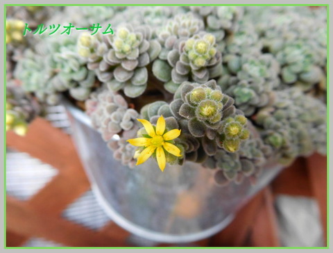 DSCN0567[1]