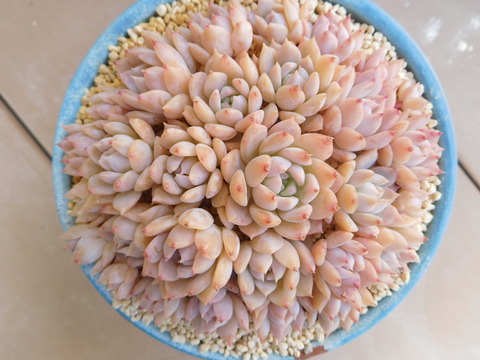 DSCN1469