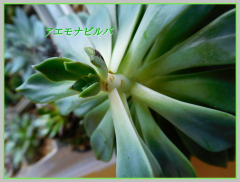 DSCN1048