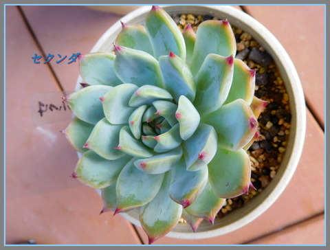 DSCN9889