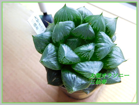 DSCN1108