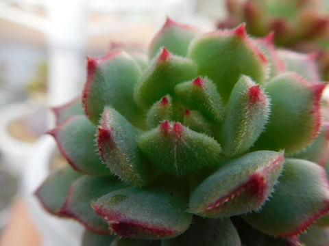 DSCN1661