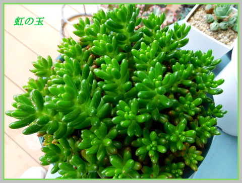 DSCN0578