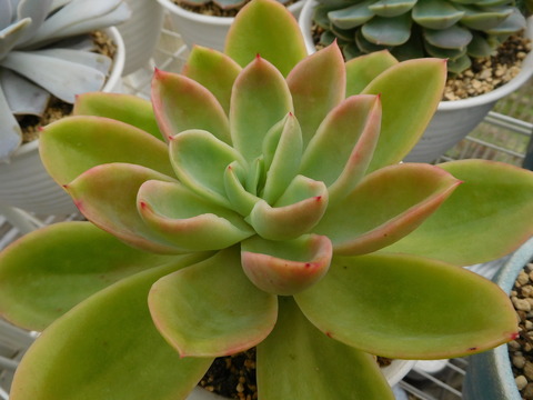 DSCN0267