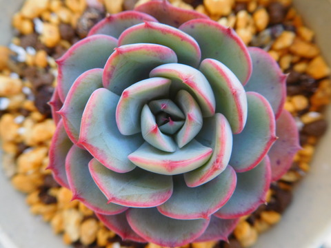 DSCN9922