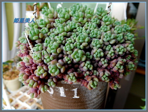 DSCN0326