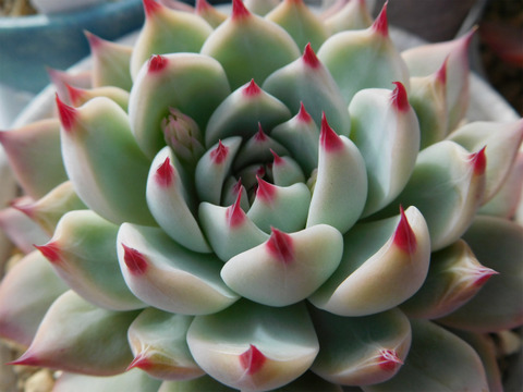 DSCN8840