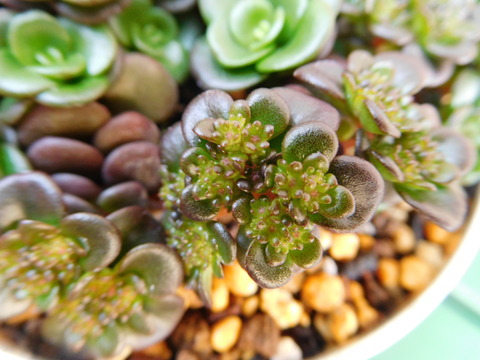 DSCN9371