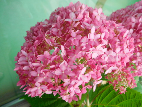 DSCN9616