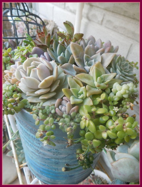 DSCN1258