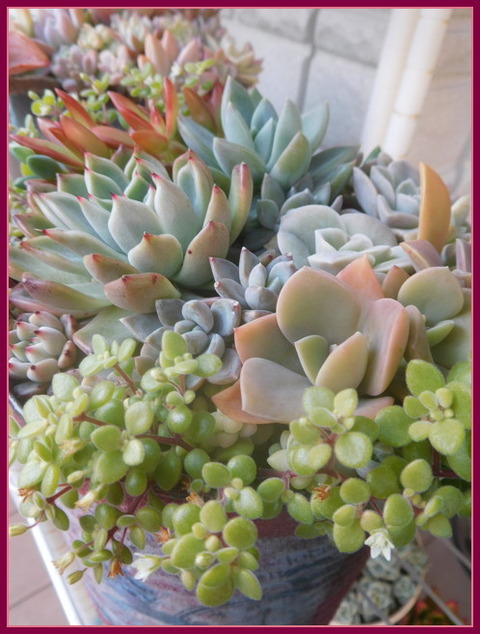 DSCN1257