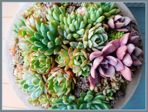 DSCN0324