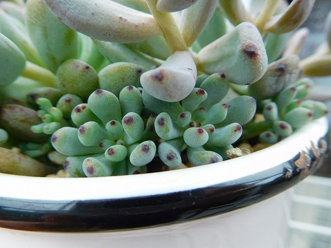 DSCN5673