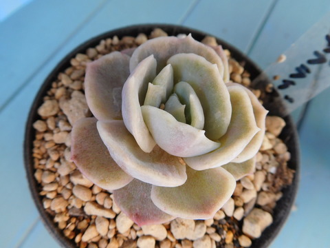 DSCN1560
