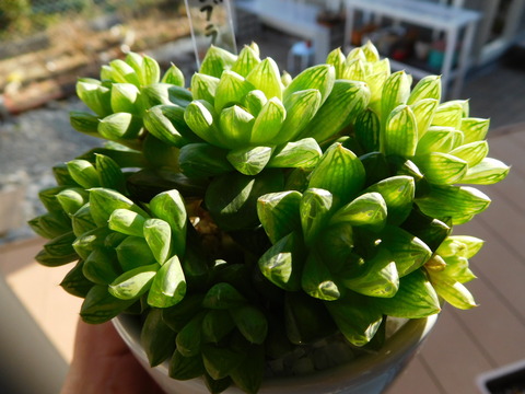 DSCN1568