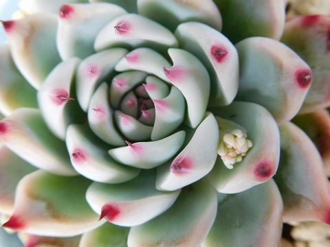 DSCN4543