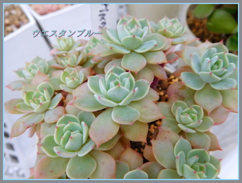 DSCN0346[2]