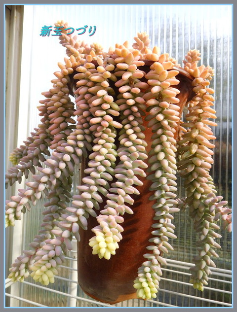 DSCN1049