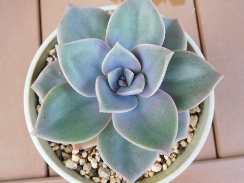 DSCN9399